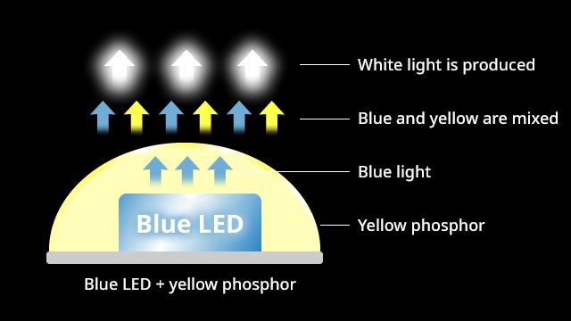 Mechanism of white light
