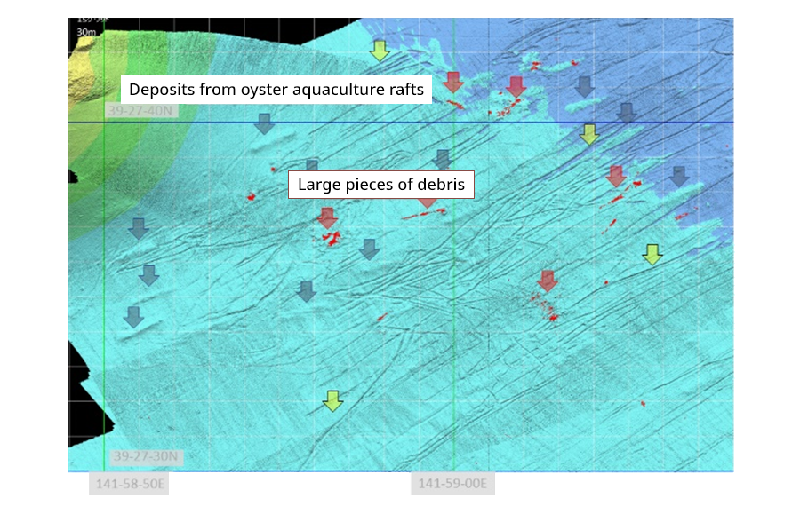 Seabed debris map: One can see traces of scratches on the seabed which seem to have been made when the mooring anchors of oyster aquaculture rafts were washed away by the backwash.