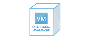 CyberFlood/Avalanche Virtual