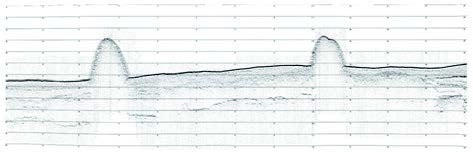 図3：地層探査装置で捉えたカキ礁の断面図