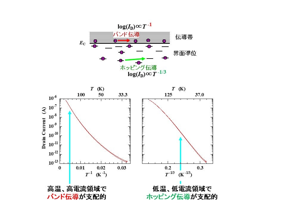 伝導モデルによる温度依存性の違い