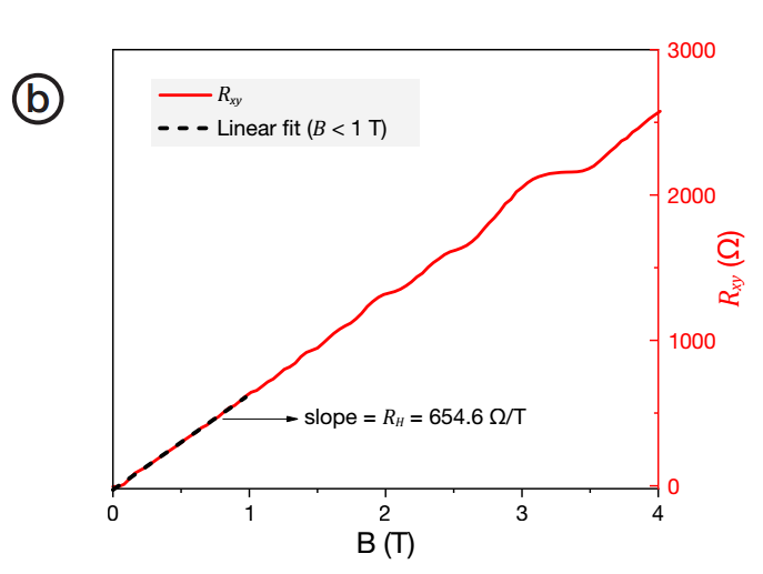 図3. (b)