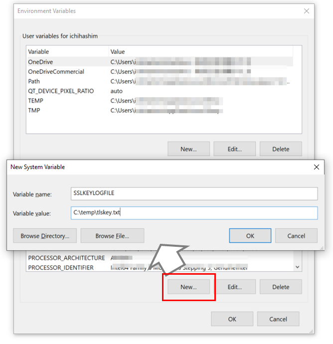 SSL/TLS_Pre Master Secret