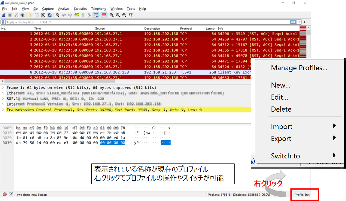 Wiresharkプロファイル画面